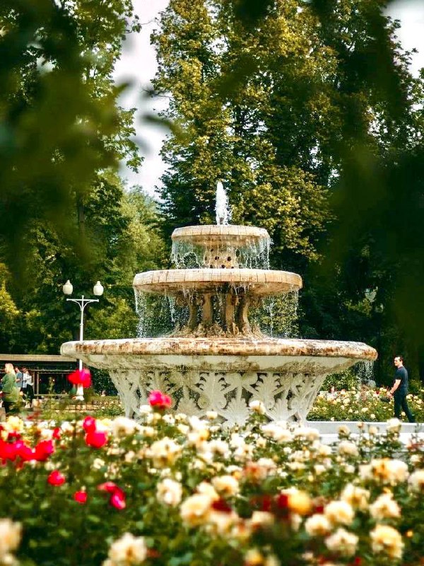 🌹Розарий в Парке Горького
Круглосуточно
В саду распустилось множество роз различных сортов, собранных со всего света | Сетка — социальная сеть от hh.ru