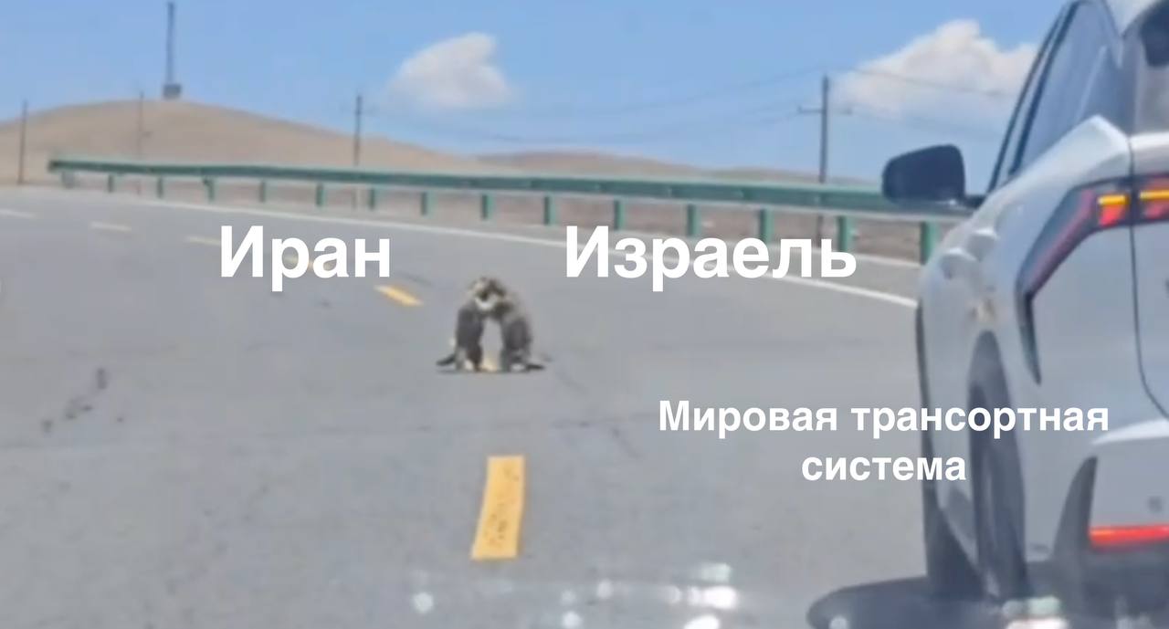 Ситуация | Сетка — социальная сеть от hh.ru