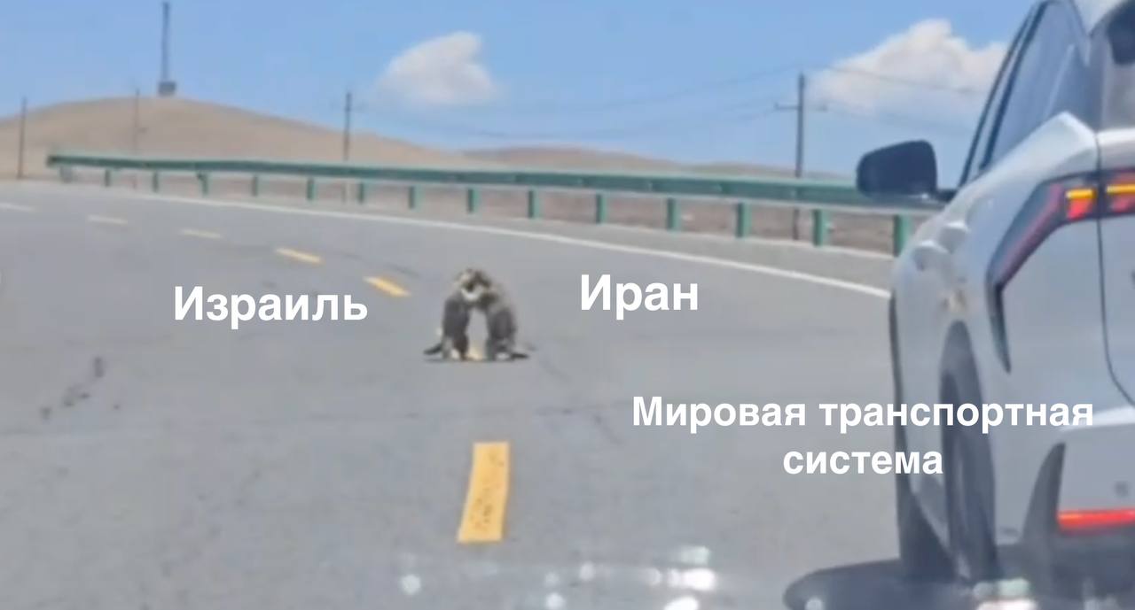 Ситуация | Сетка — социальная сеть от hh.ru