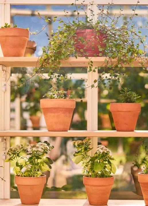 🌿Бесплатно посадить овощи, ягоды и микрозелень можно на фестивале «Сады и огороды» в Москве
До 30 сентября
11:00-20:00Вы узнаете, как правильно ухаживать за растениями, получите советы от опытных садо... | Сетка — социальная сеть от hh.ru