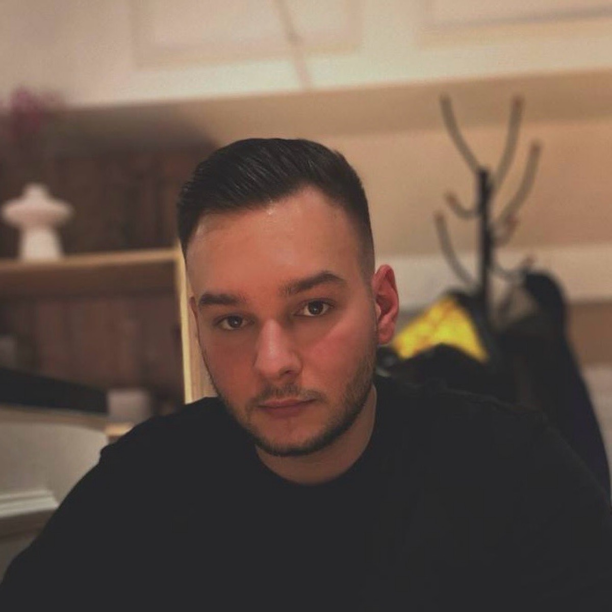 Владимир Мерчан