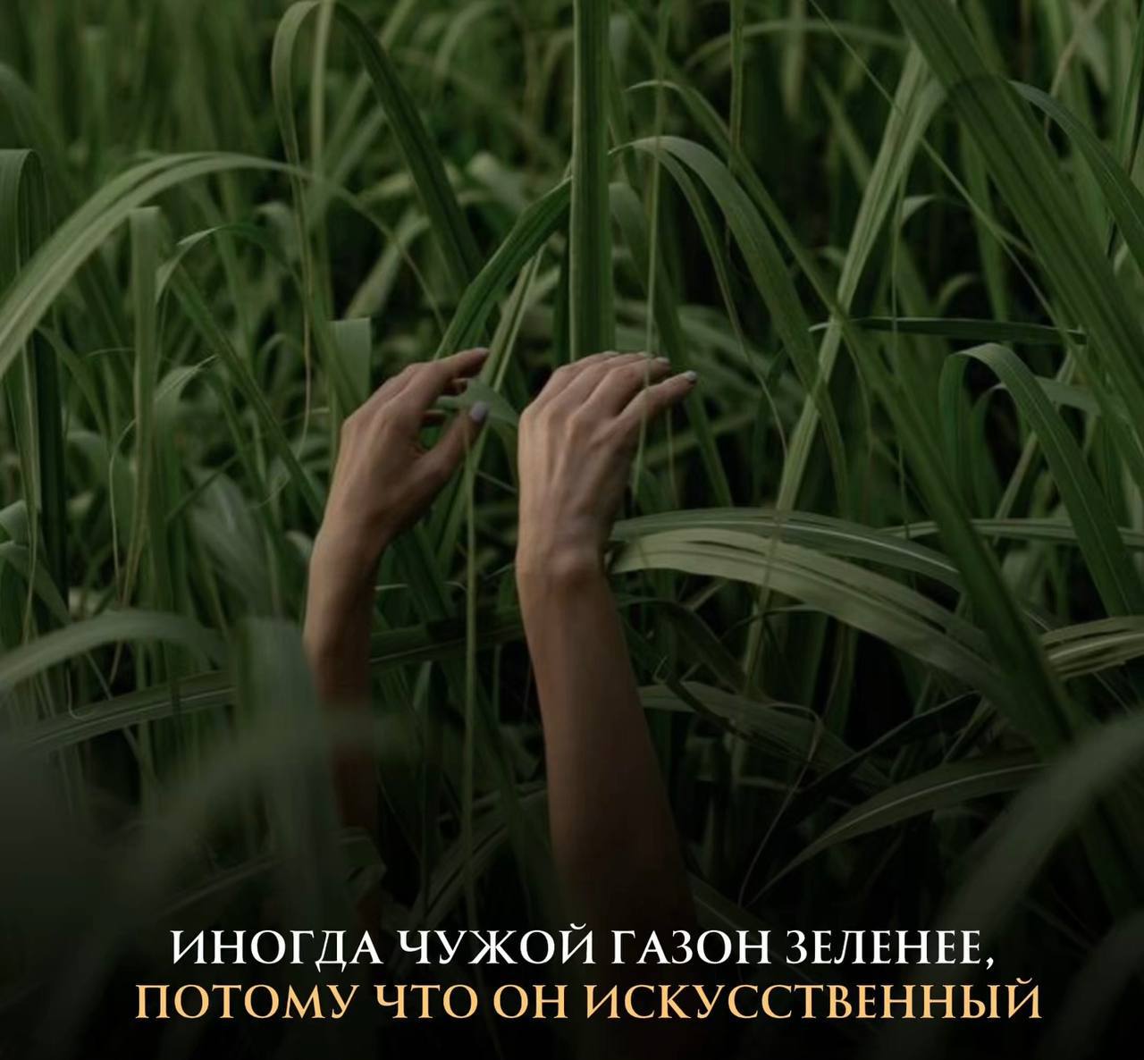 ❗️Запомните: картинка - не всегда реальность.
За красивой оберткой часто скрываются те же проблемы, что и у нас.
Вместо зависти, направьте энергию на улучшение своей собственной жизни | Сетка — социальная сеть от hh.ru