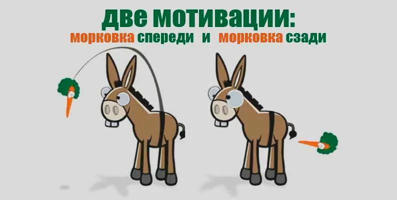 Все что нужно знать о мотивации) | Сетка — социальная сеть от hh.ru