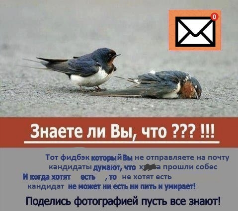 О наболевшем | Сетка — социальная сеть от hh.ru