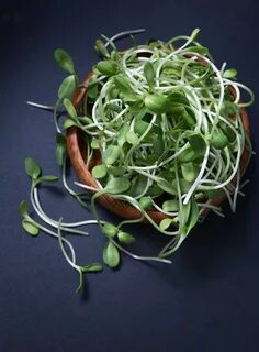 Приветик отLadyMari! ❤️‍🔥 Рада снова Вас видеть!  
Давай разберёмся с этой жгучей темой:  
🌶️ Микрозелень с горчинкой/остринкой:  
• ГОРЧИЦА: Ну, тут всё понятно по названию | Сетка — социальная сеть от hh.ru