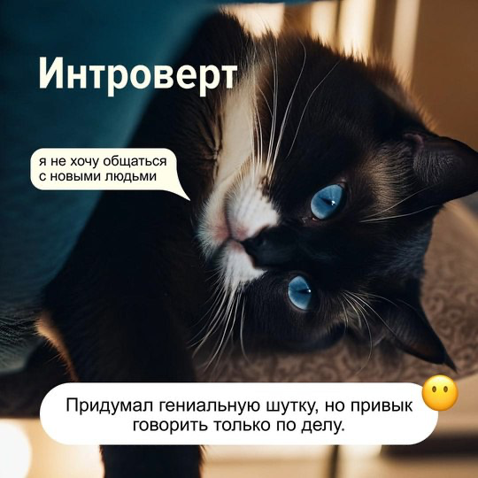 Что спросить, чтобы лучше понять кандидата?
Собрали вопросы, реакция на которые поможет понять психотип кандидата:
1. Что вас больше всего мотивирует в работе?
2 | Сетка — социальная сеть от hh.ru