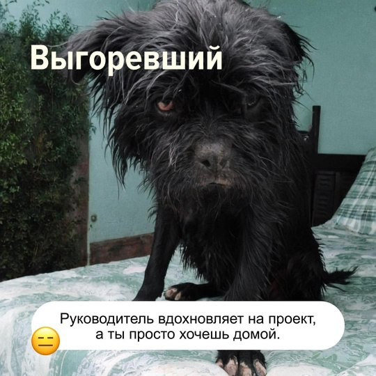 Что спросить, чтобы лучше понять кандидата?
Собрали вопросы, реакция на которые поможет понять психотип кандидата:
1. Что вас больше всего мотивирует в работе?
2 | Сетка — социальная сеть от hh.ru