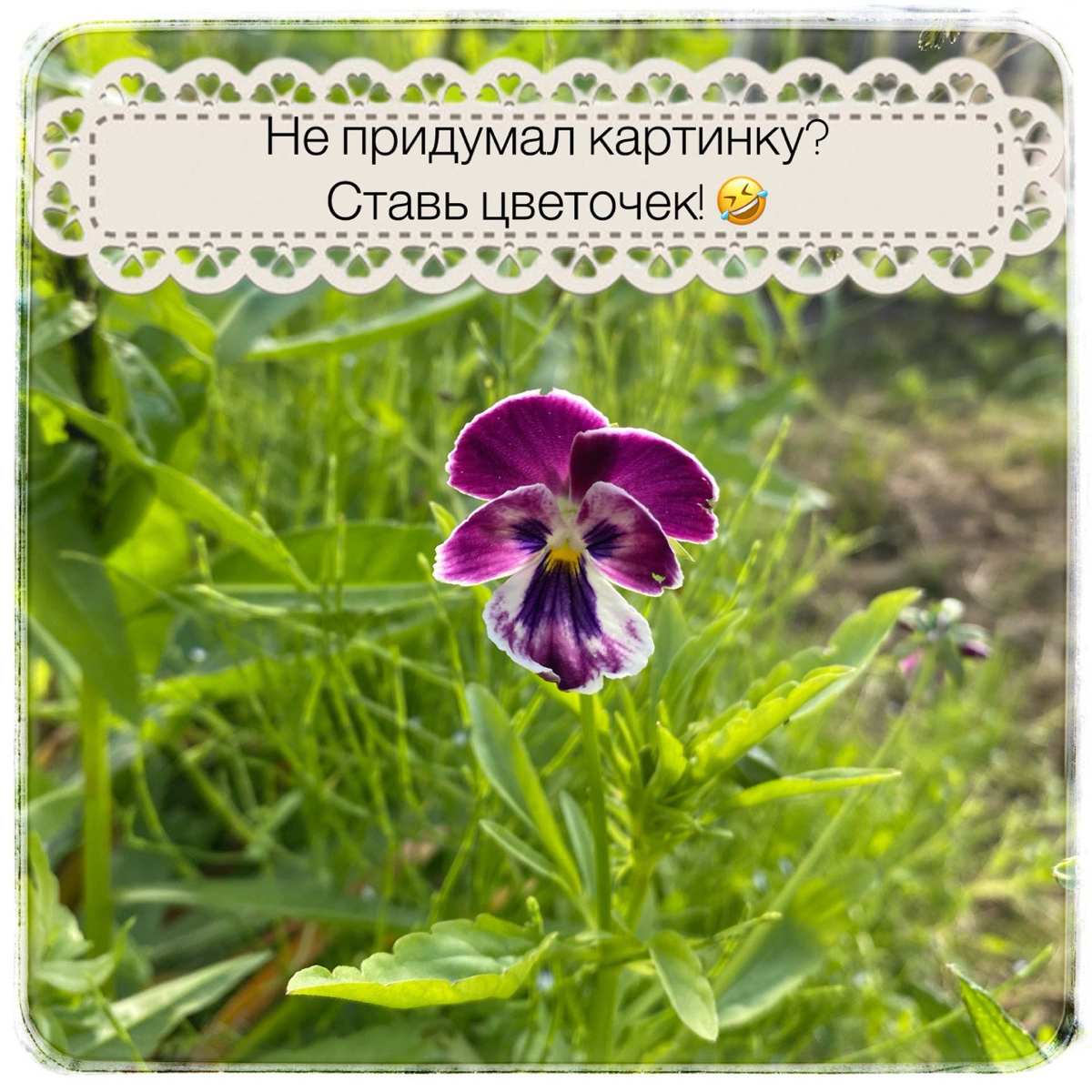Увольнения с одной и той же должности | Сетка — социальная сеть от hh.ru
