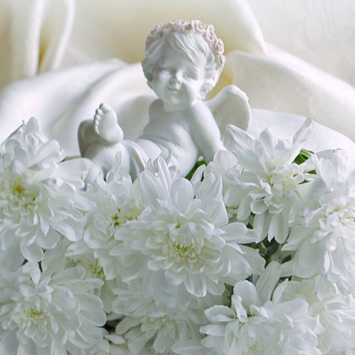 Галина Ковалева