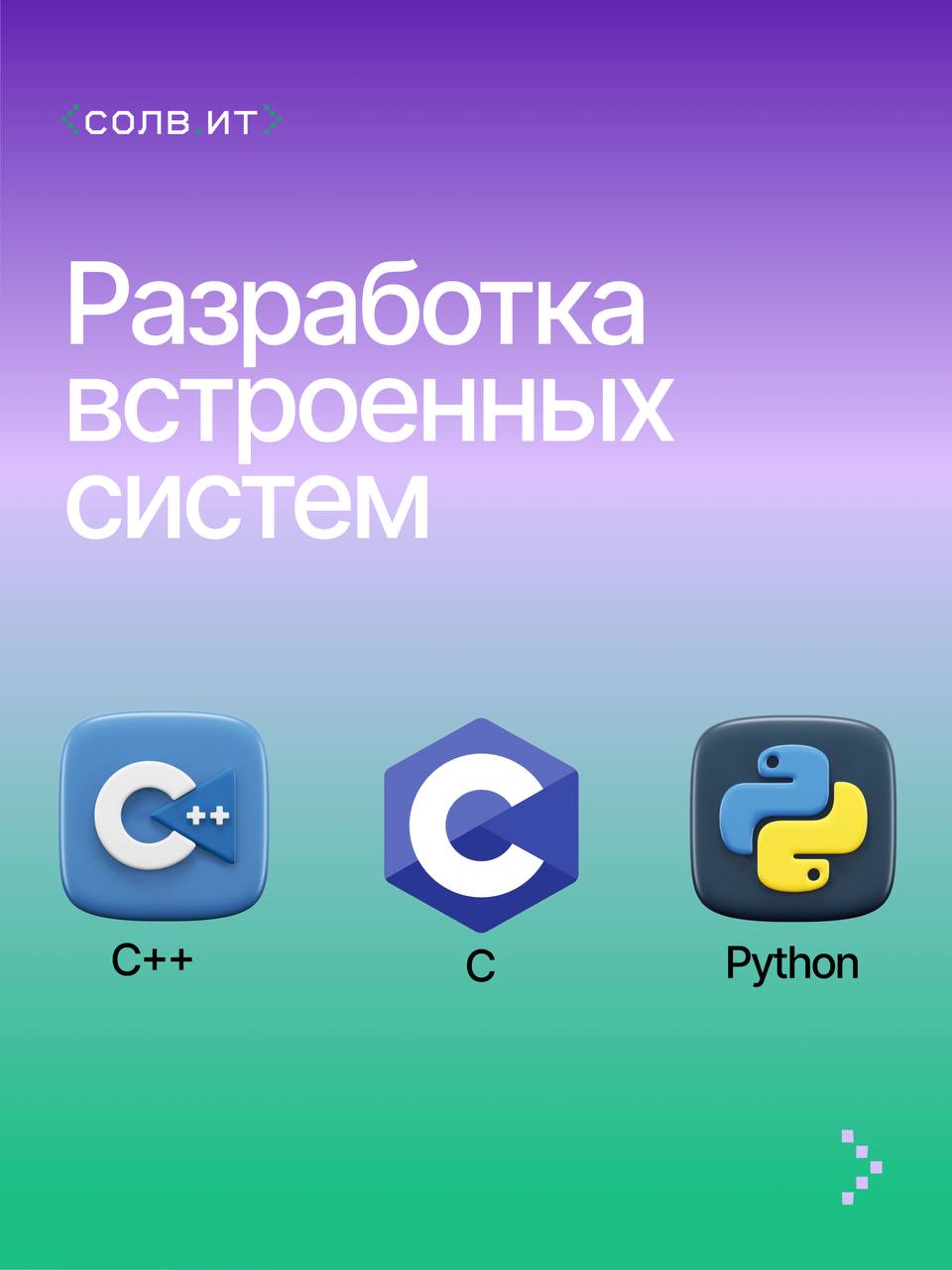 Представляем подборку из популярных языков программирования и сфер их применения 🤩 | Сетка — социальная сеть от hh.ru
