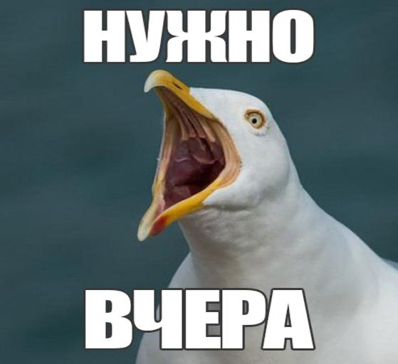 🕊 Как распознать абьюзера (Чайка-менеджера) | Сетка — социальная сеть от hh.ru