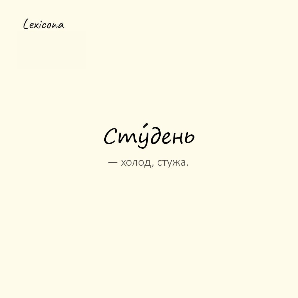 Студень — холод, стужа
Пример употребления:
Студень зимний сковал реку, и даже волки жались к огню. | Сетка — социальная сеть от hh.ru