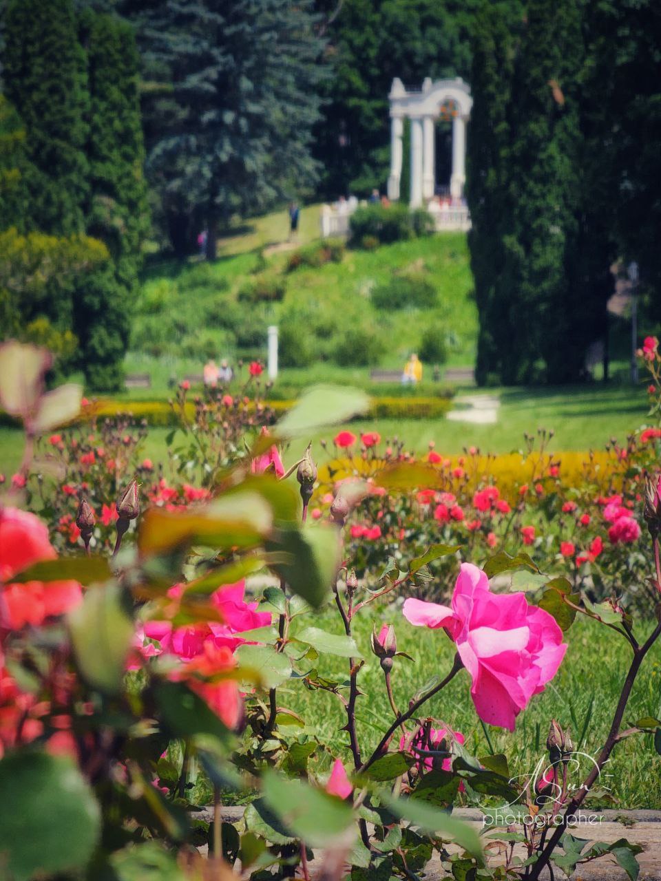 Цветущая Долина Роз в Кисловодске
📷@lifesunlife | Сетка — социальная сеть от hh.ru