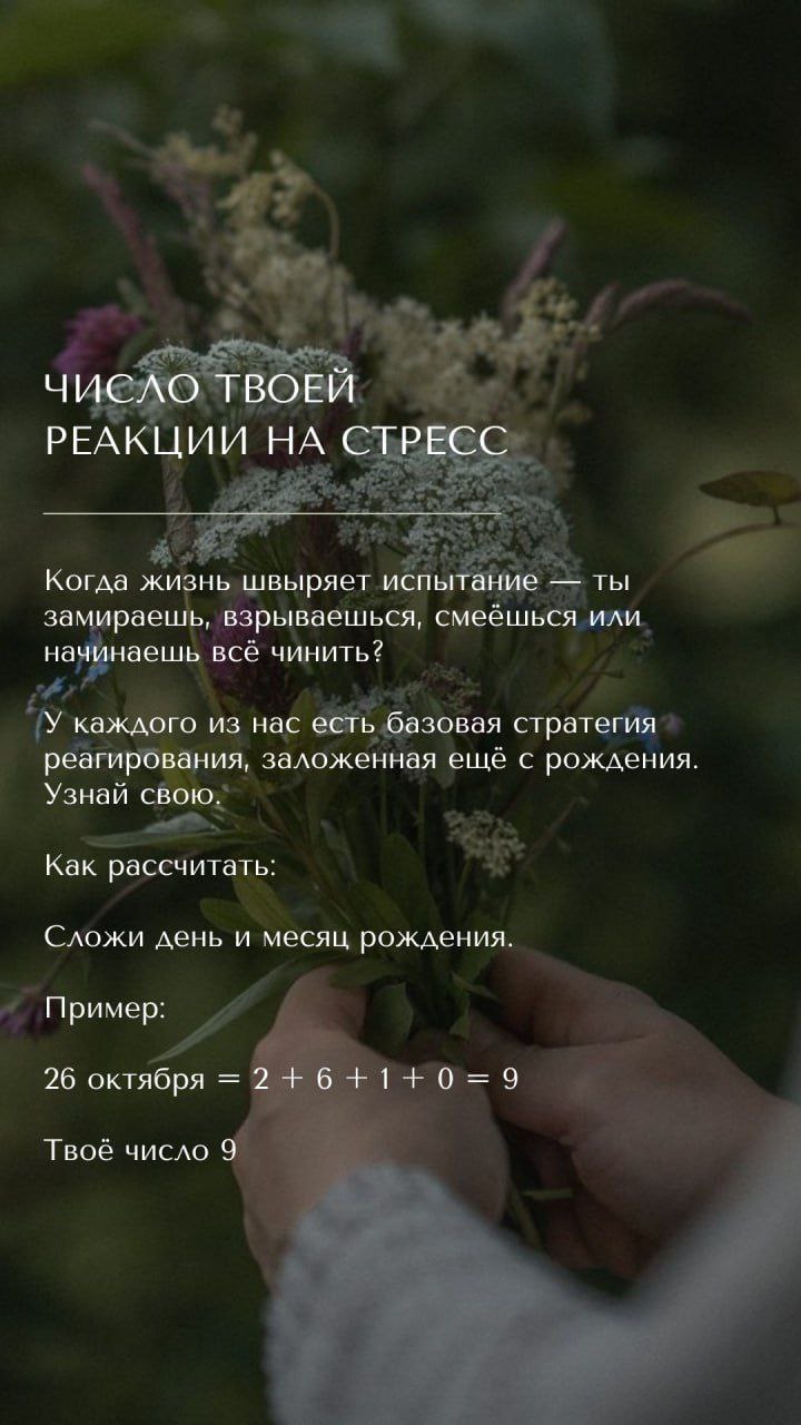 Пишите в комментариях, что получилось | Сетка — социальная сеть от hh.ru