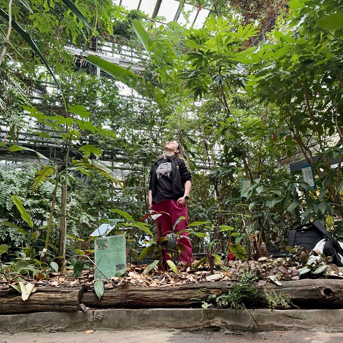 Анастасия Калинич | Сетка — социальная сеть от hh.ru