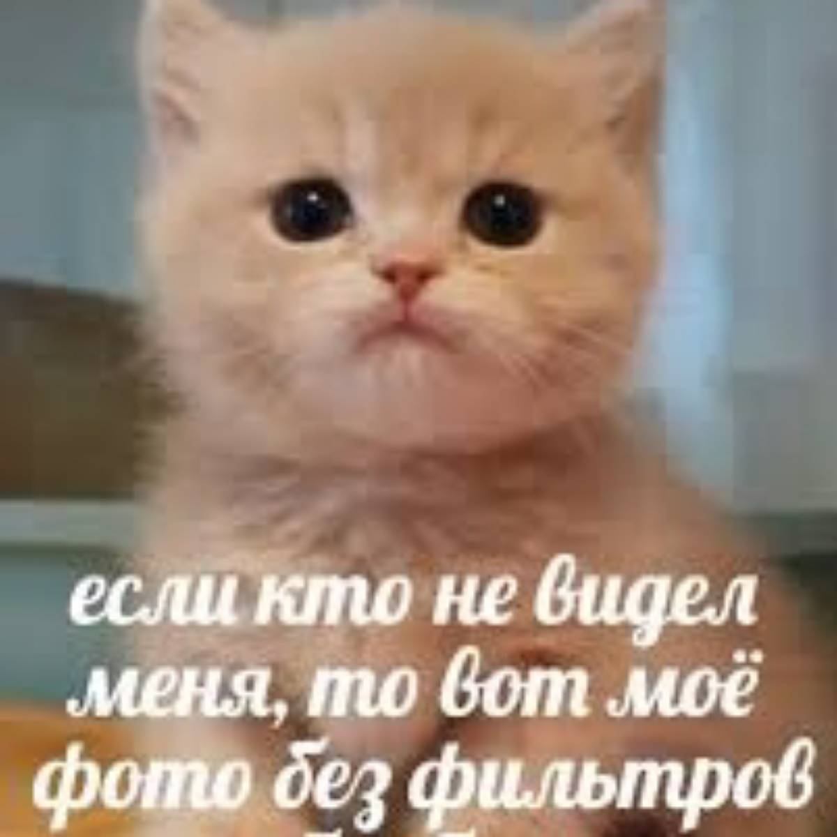 Радмир Рр