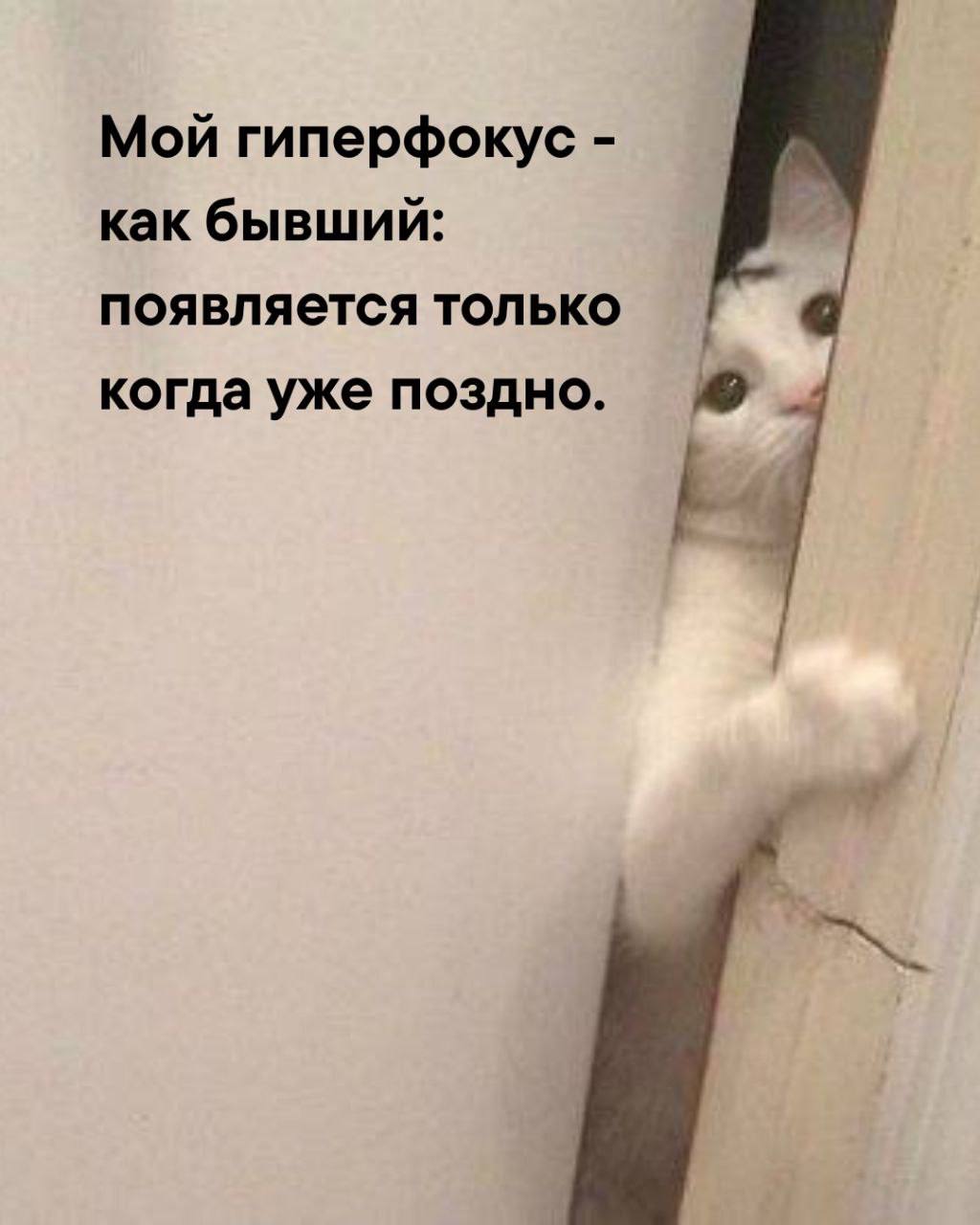 Жиза?😁 | Сетка — социальная сеть от hh.ru