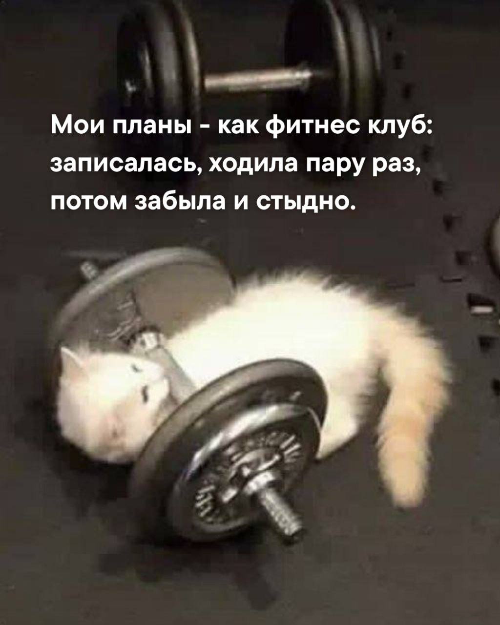 Жиза?😁 | Сетка — социальная сеть от hh.ru