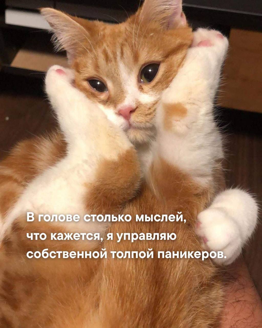 Жиза?😁 | Сетка — социальная сеть от hh.ru