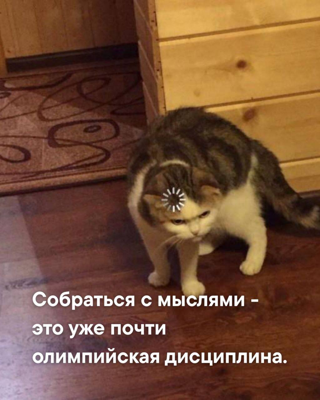 Жиза?😁 | Сетка — социальная сеть от hh.ru