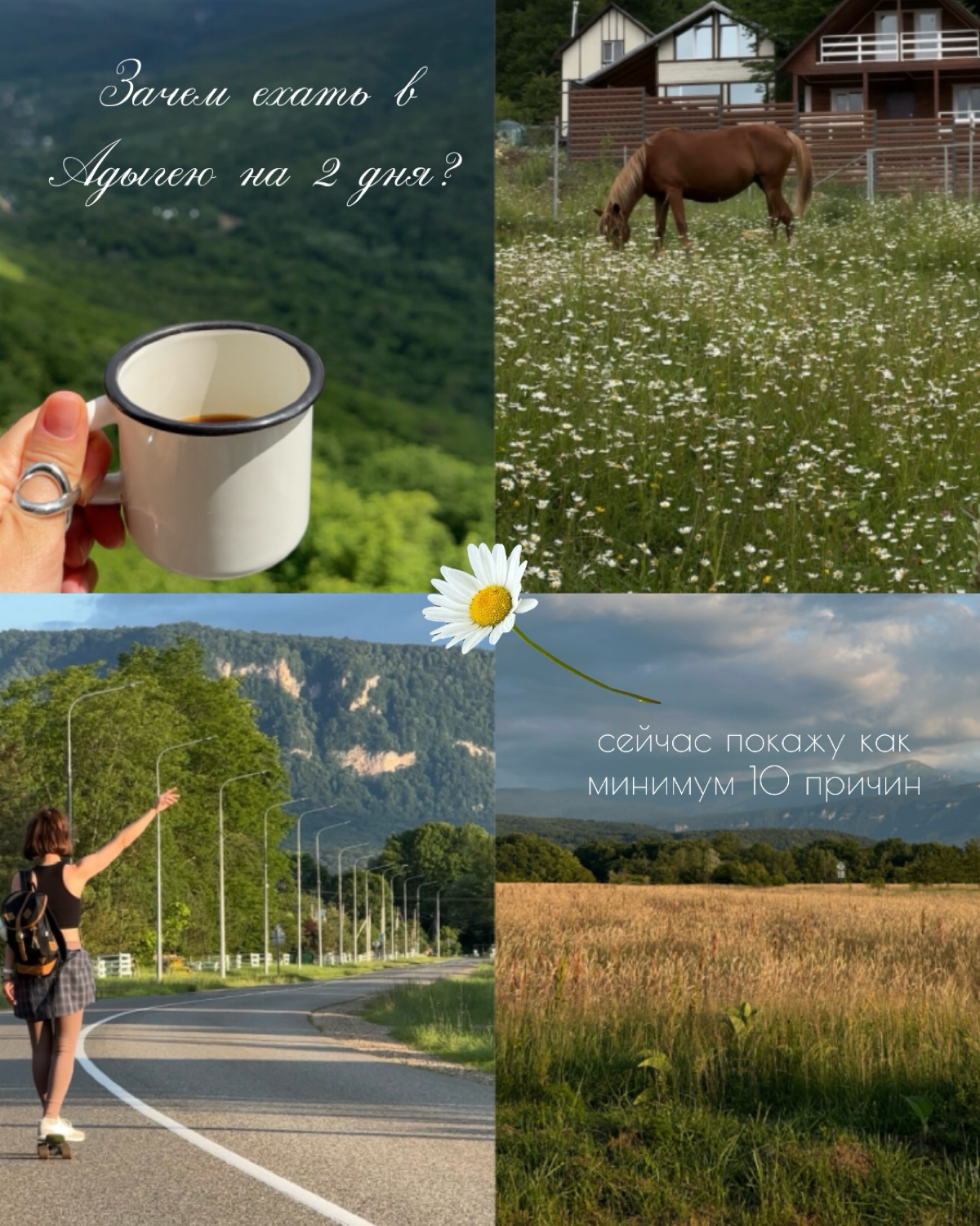 В Адыгею съездила на выходных | Сетка — социальная сеть от hh.ru