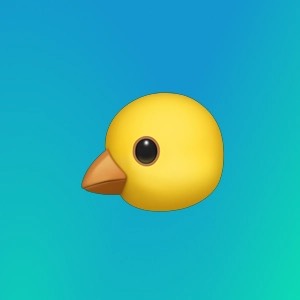 Елена Платова | Сетка — социальная сеть от hh.ru