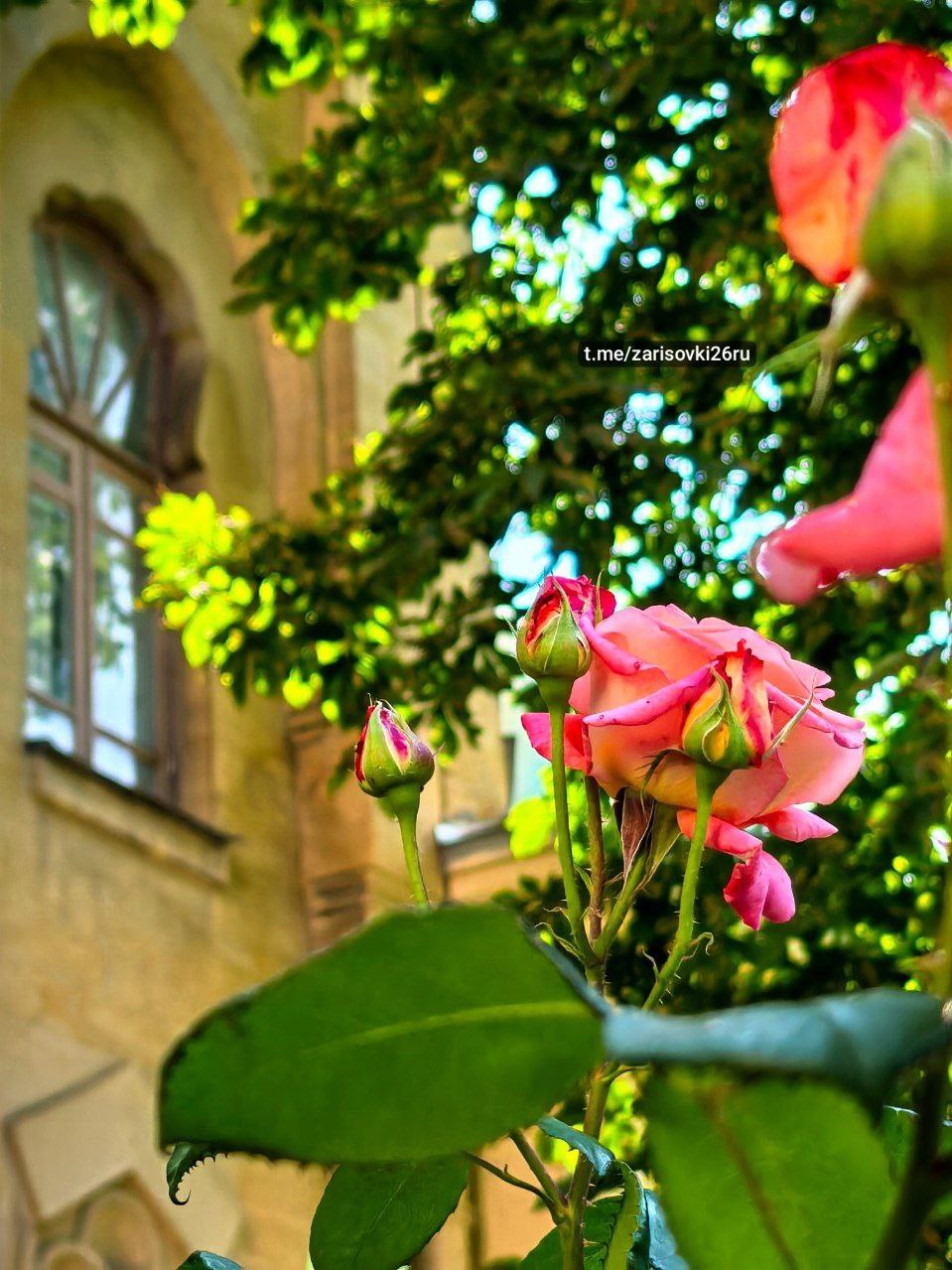 Картинная галерея П. М. Гречишкина в Ставрополе
📷zarisovki26ru | Сетка — социальная сеть от hh.ru