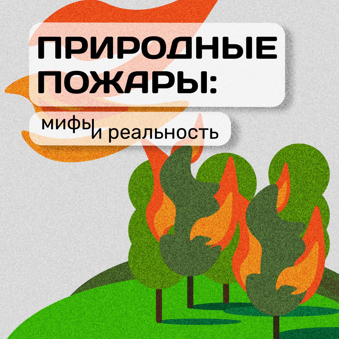 Почему возникают природные пожары и чем они опасны?
Многие даже не знают того факта, что самая распространенная причина пожаров — это действия человека | Сетка — социальная сеть от hh.ru