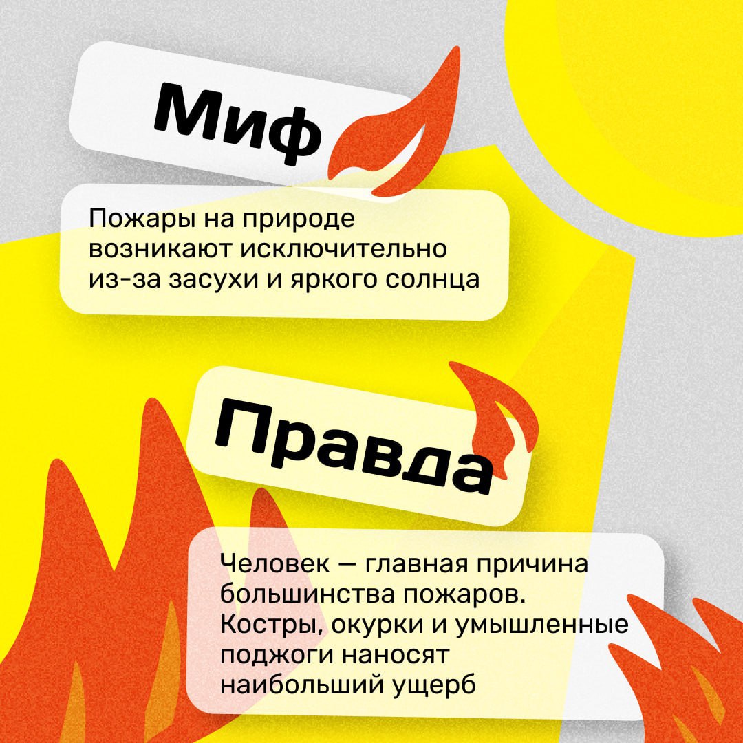 Почему возникают природные пожары и чем они опасны?
Многие даже не знают того факта, что самая распространенная причина пожаров — это действия человека | Сетка — социальная сеть от hh.ru