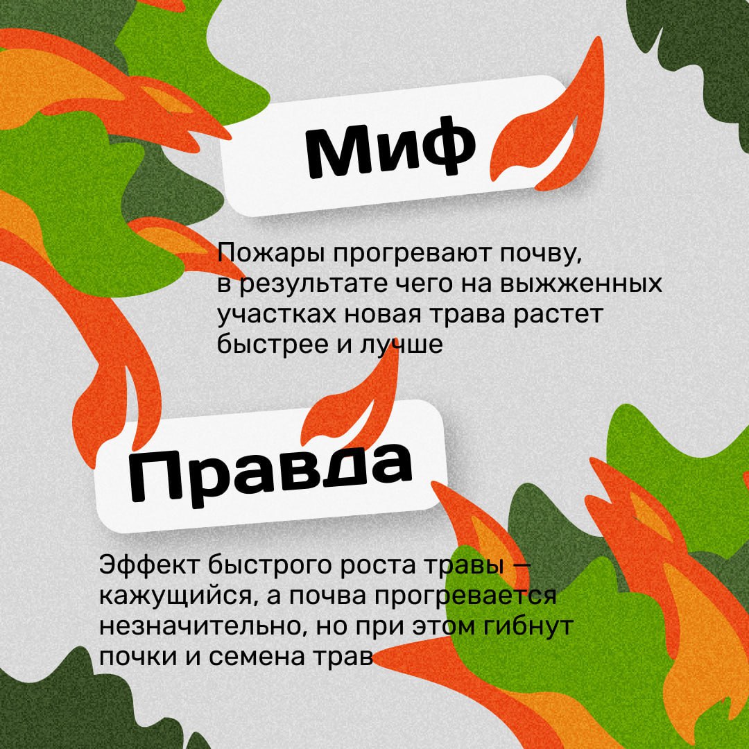 Почему возникают природные пожары и чем они опасны?
Многие даже не знают того факта, что самая распространенная причина пожаров — это действия человека | Сетка — социальная сеть от hh.ru
