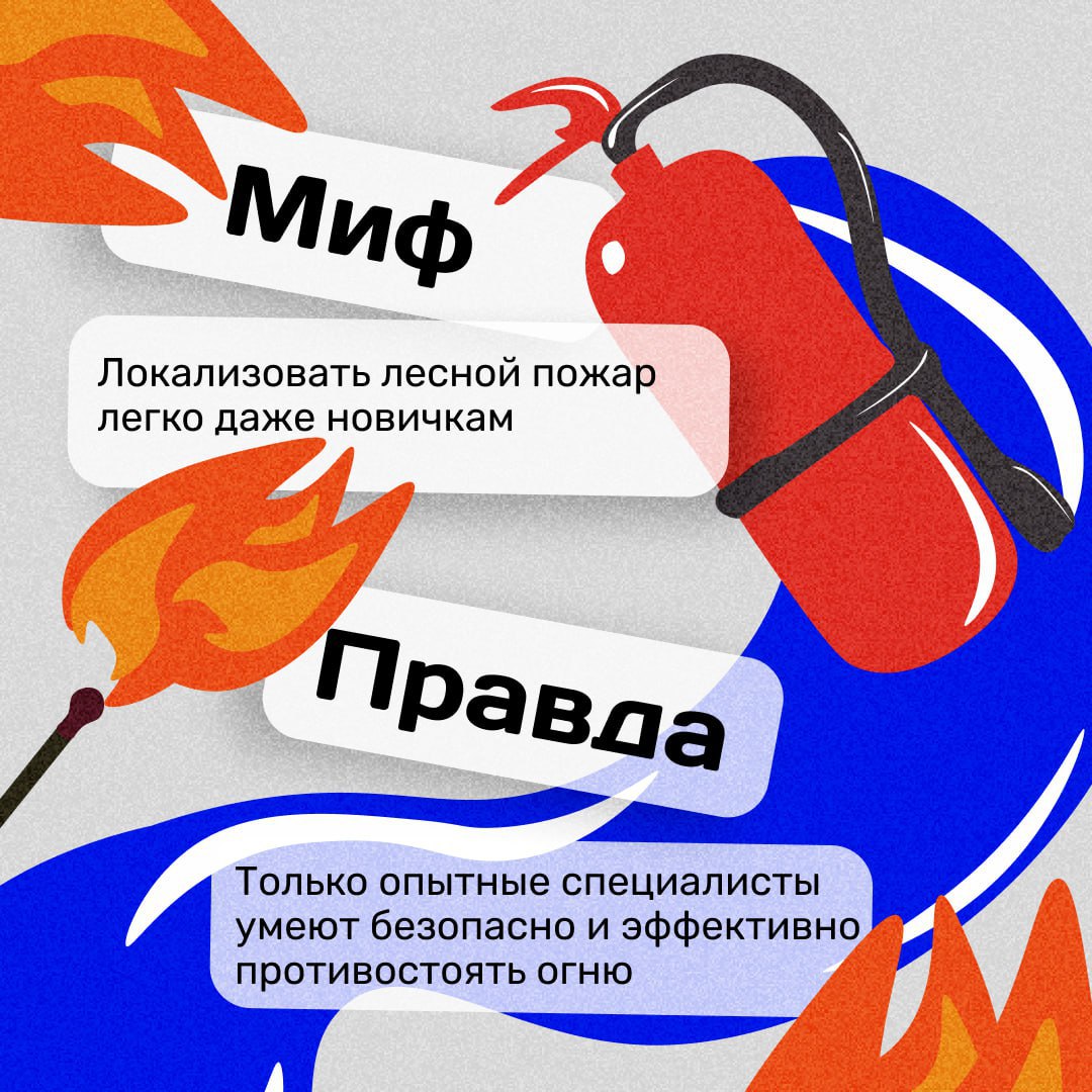 Почему возникают природные пожары и чем они опасны?
Многие даже не знают того факта, что самая распространенная причина пожаров — это действия человека | Сетка — социальная сеть от hh.ru