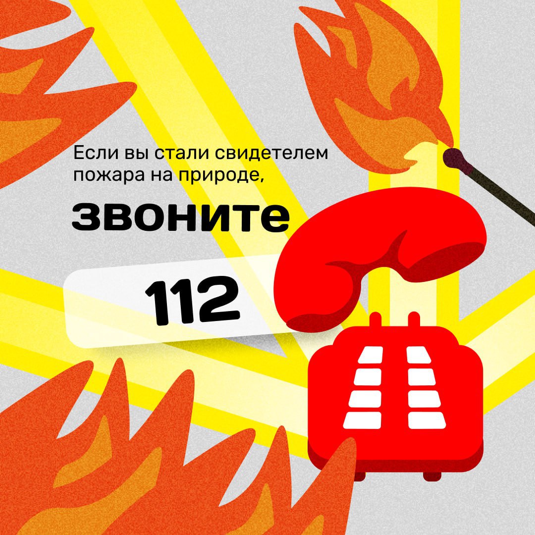 Почему возникают природные пожары и чем они опасны?
Многие даже не знают того факта, что самая распространенная причина пожаров — это действия человека | Сетка — социальная сеть от hh.ru