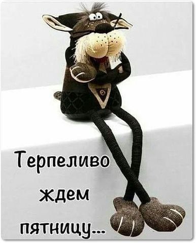 Просто напоминаю, что сегодня четверг 😂 | Сетка — социальная сеть от hh.ru