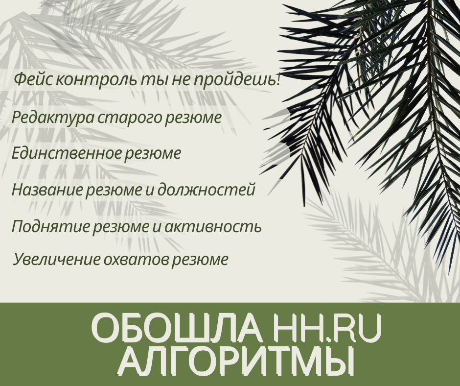 ⛔️ Как я алгоритмы HH ru обходила | Сетка — социальная сеть от hh.ru