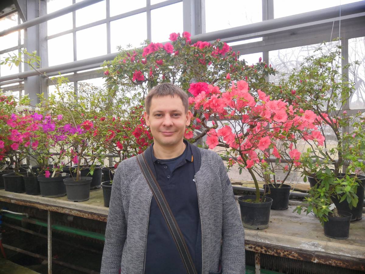 Network member avatar