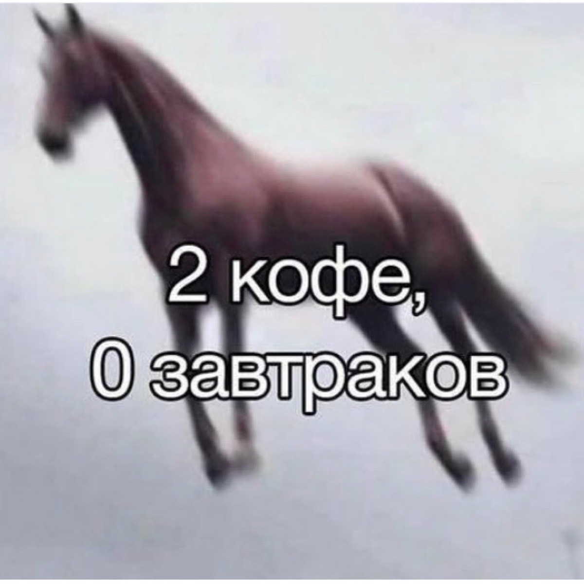 Иван Высоцкий