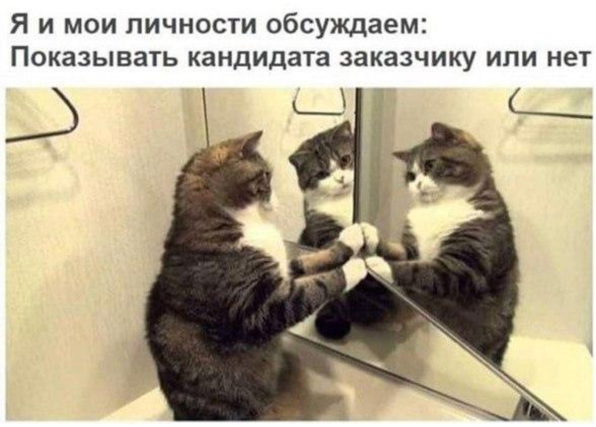 Вы на стороне кандидата или компании? | Сетка — социальная сеть от hh.ru