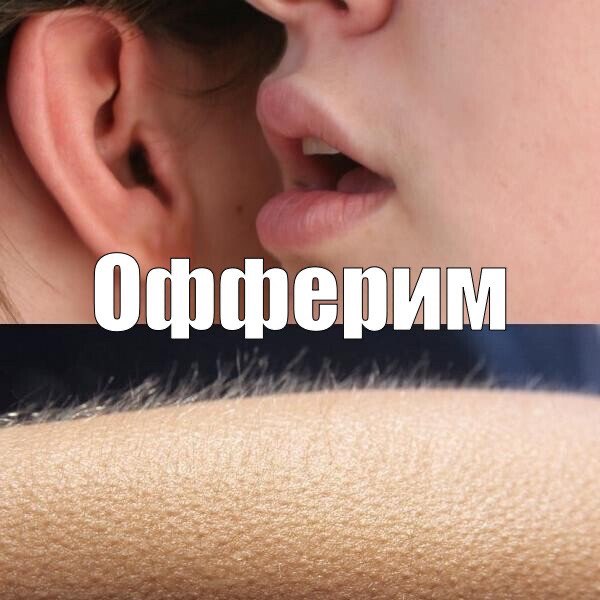 просьба всем впечатлительным отойти от экранов. | Сетка — социальная сеть от hh.ru