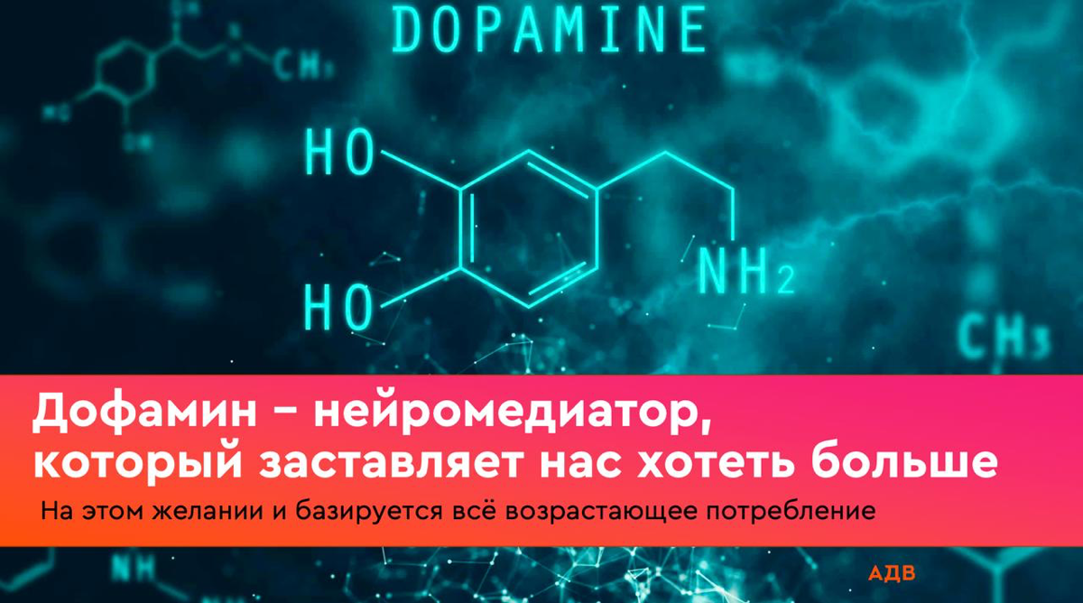 Внимание – новый дефицит: дофаминовая экономика в 2025 | Сетка — социальная сеть от hh.ru