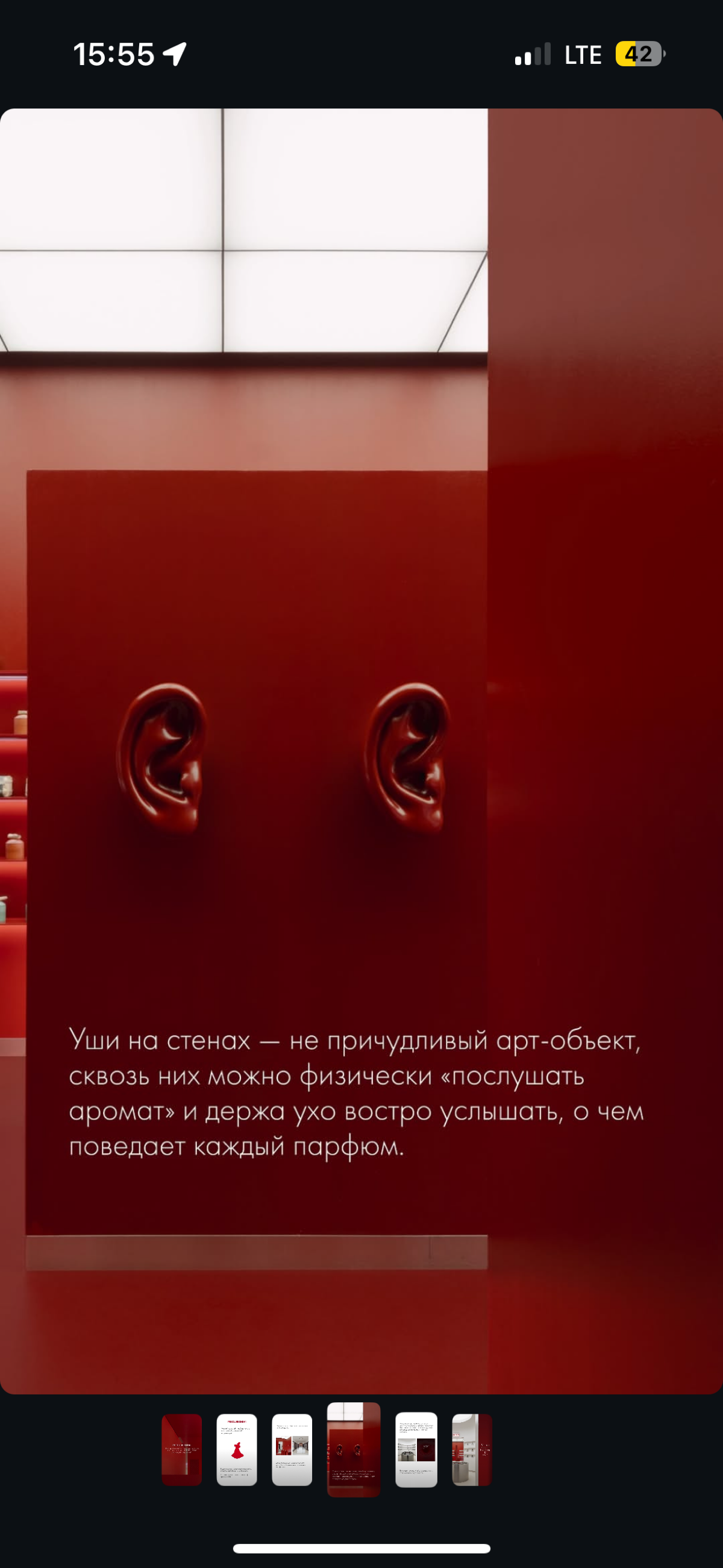 Тем временем Настя Миронова не перестает удивлять своими креативными идеями и полностью реализует их в своих проектах
Магазин PREDUBEZHDAI на Большой Никитской – сплошной арт-объект, куда хочется прий... | Сетка — социальная сеть от hh.ru