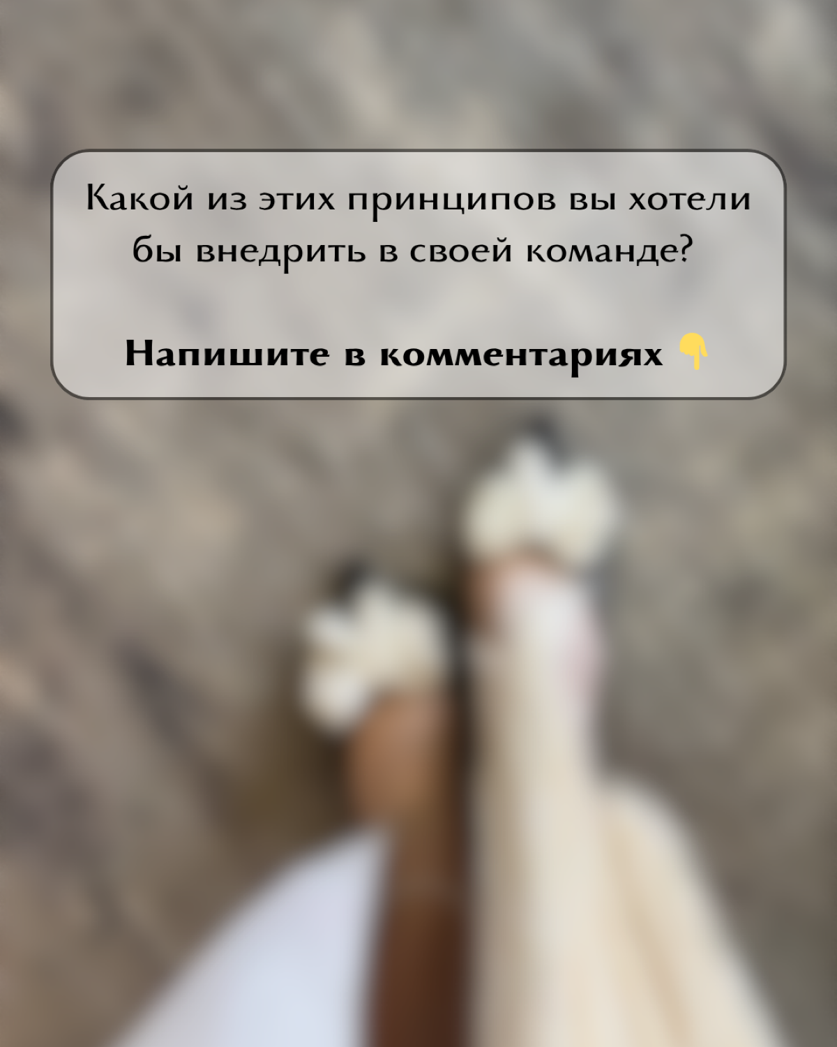 В отпуске я дочитала книгу «Никаких правил: Уникальная культура Netflix».
Она описывает, как Netflix построил одну из самых продуктивных и адаптивных корпоративных культур в мире | Сетка — социальная сеть от hh.ru