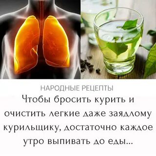 Привет, курильщики! 👋
Хотите бросить курить и облегчить тягу к табаку? 🤔 MicroGreens from LadyMari ❤️ придет на помощь! 🌿
Сегодня расскажем, как микрозелень поможет очистить легкие и вывести тяжелые м... | Сетка — социальная сеть от hh.ru