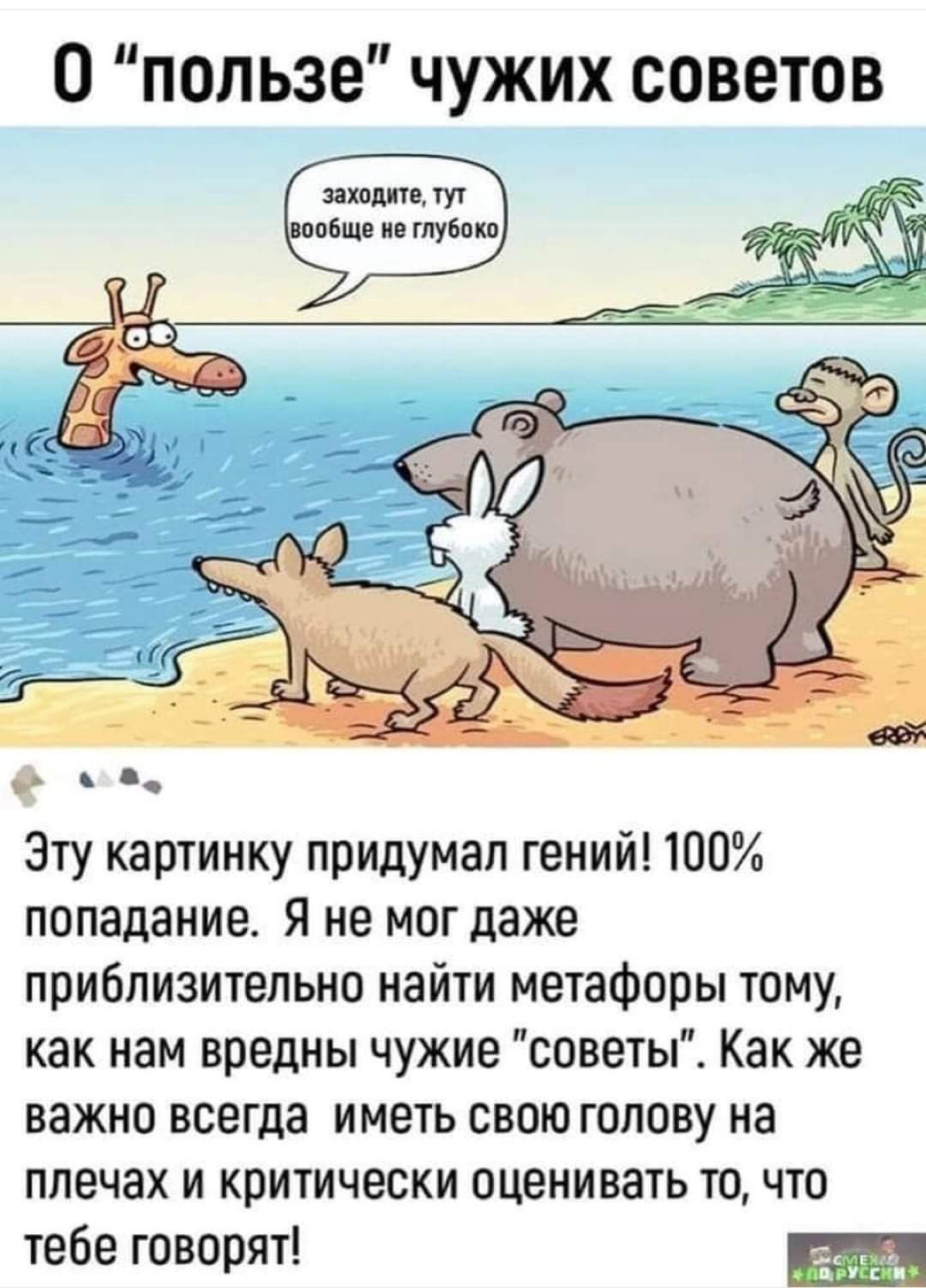 Чужой опыт - хорошо… | Сетка — социальная сеть от hh.ru