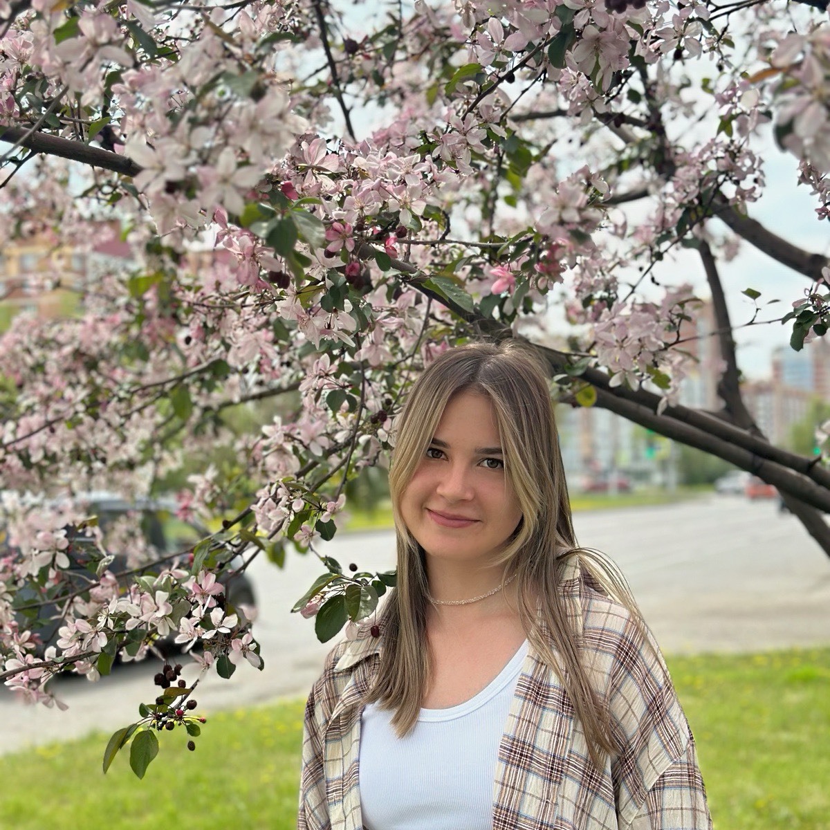 Аня Терещенко | Сетка — социальная сеть от hh.ru