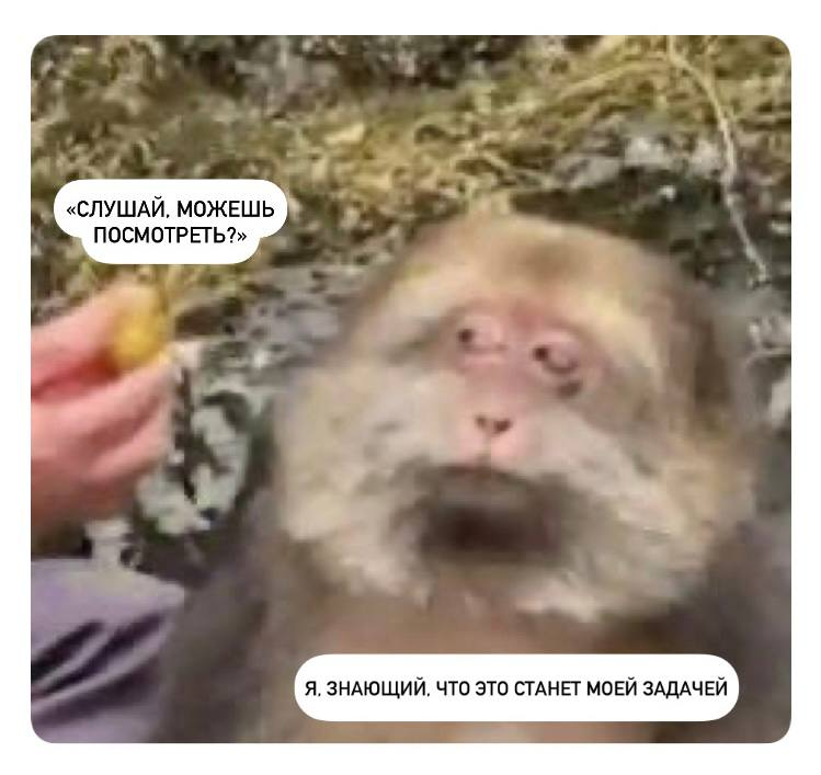 Это ловушка. | Сетка — социальная сеть от hh.ru
