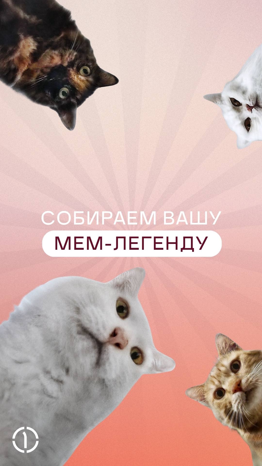 🦜 У каждого героя должна быть легенда!
В честь Дня молодёжи предлагаем не просто вспомнить юность, а превратить её в эпичную и местами абсурдную историю, которой позавидует даже Голливуд!
Как работает... | Сетка — социальная сеть от hh.ru