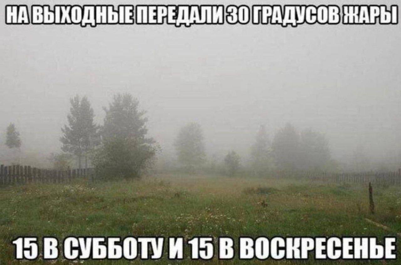 Проведите эти выходные с пользой, несмотря на 30 градусов тепла (пусть и суммарно) 🌝 | Сетка — социальная сеть от hh.ru