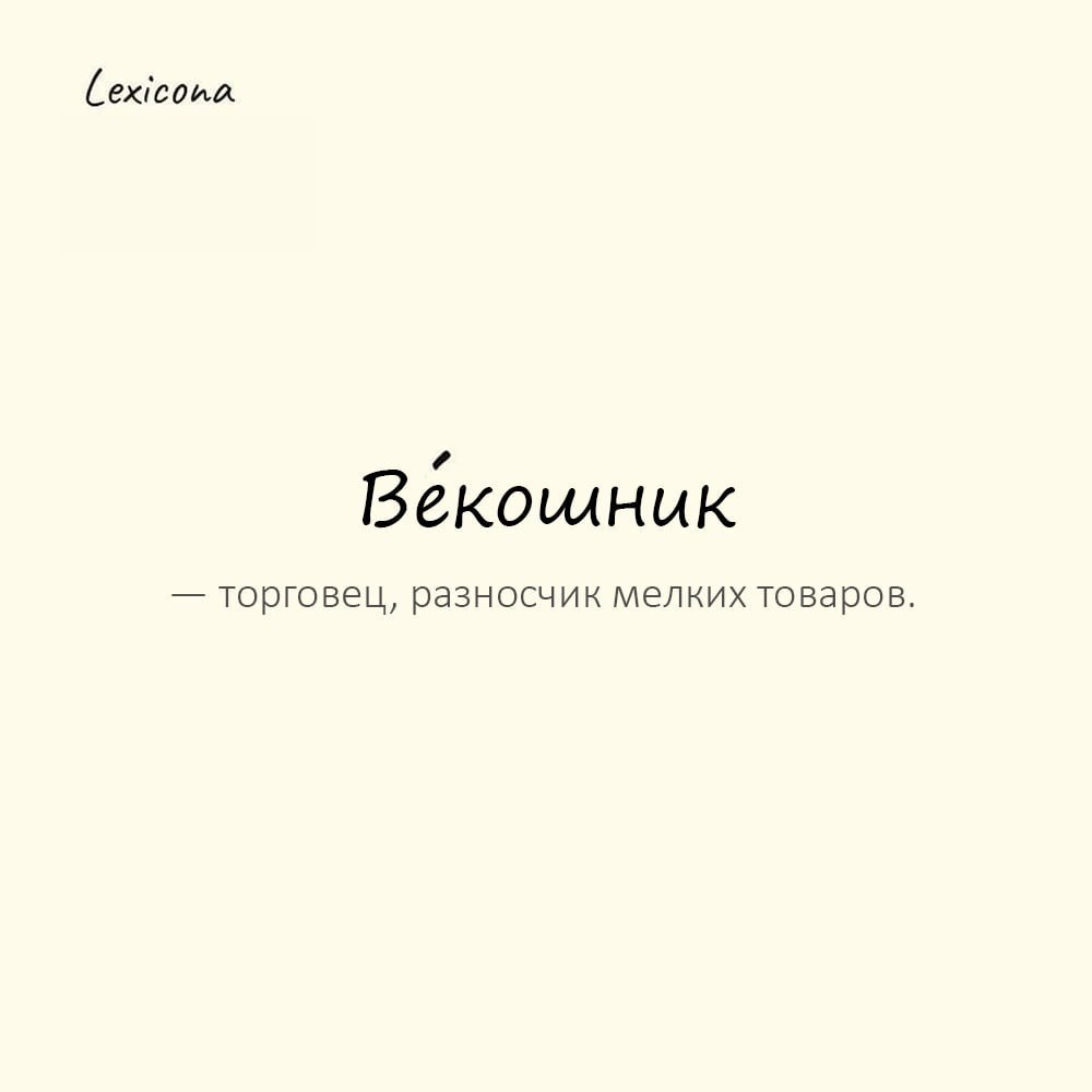 Векошник — торговец, разносчик мелких товаров
Пример употребления:
Векошник с коробом за спиной предлагал горожанам ленты и булавки. | Сетка — социальная сеть от hh.ru