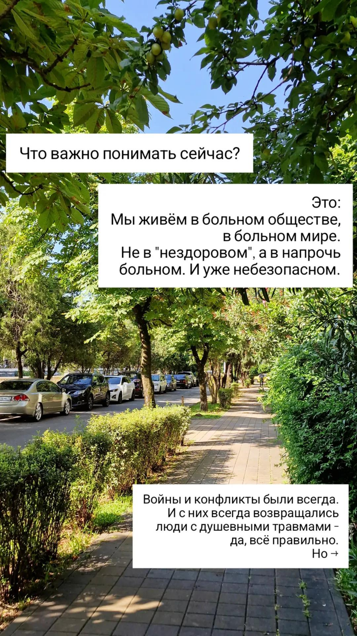 Про женскую безопасность с психологом ❤️ | Сетка — социальная сеть от hh.ru