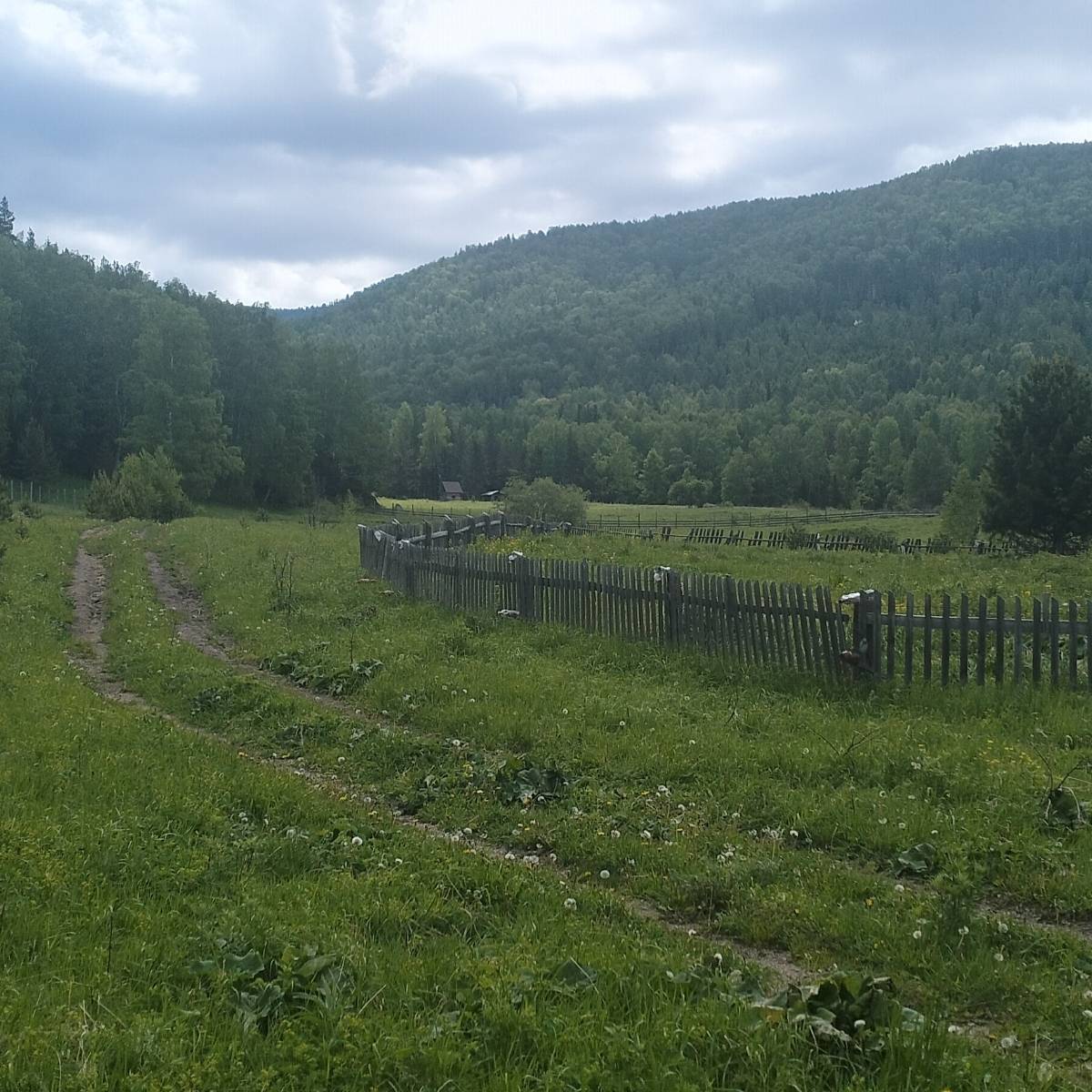 Алексей Долгов | Сетка — социальная сеть от hh.ru